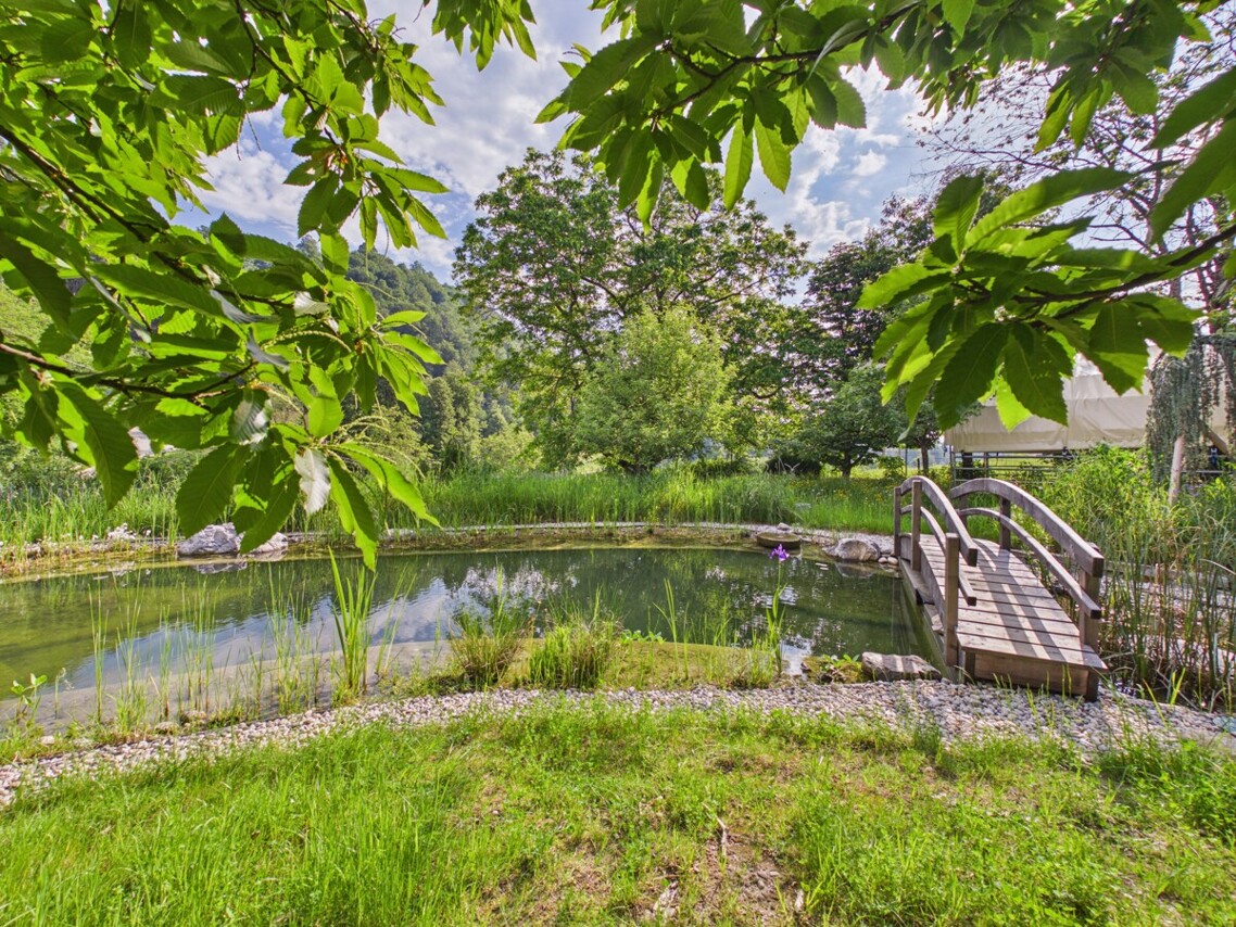 Selbstversorgerparadies in Kossiach – Einfamilienhaus mit 3.000 m² Gartenanlage, Naturteich &  Ruheoase