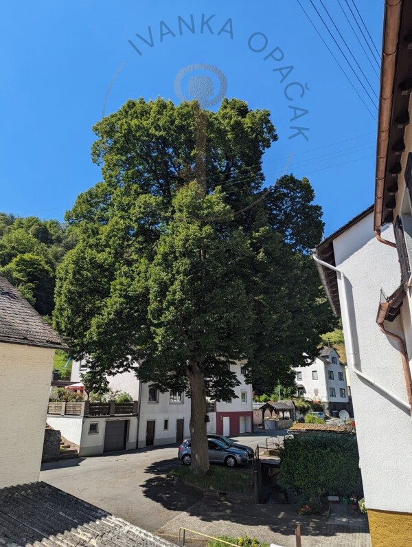 Herzlich Willkommen!