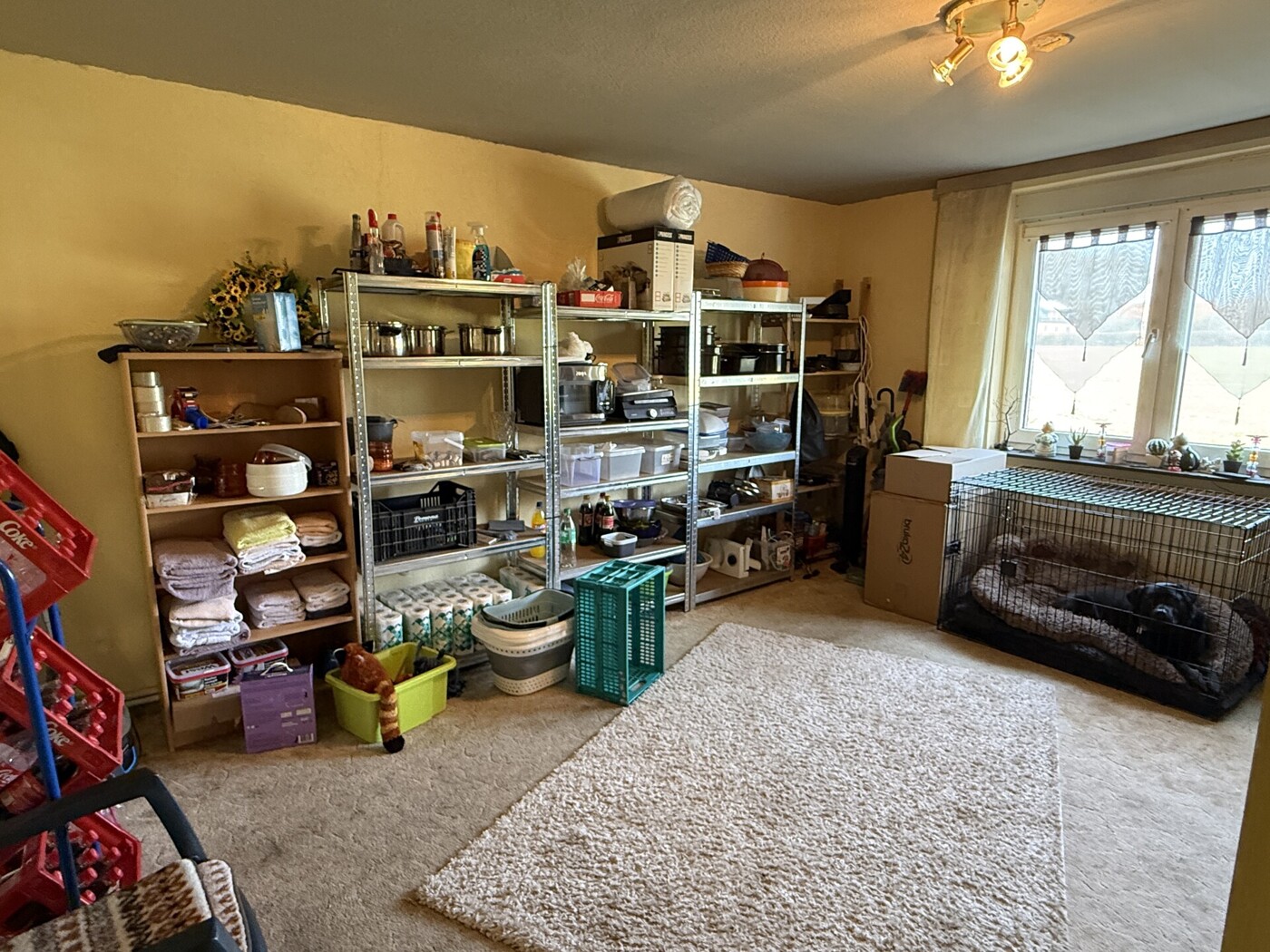 Abstellraum oder Schlafzimmer  EG