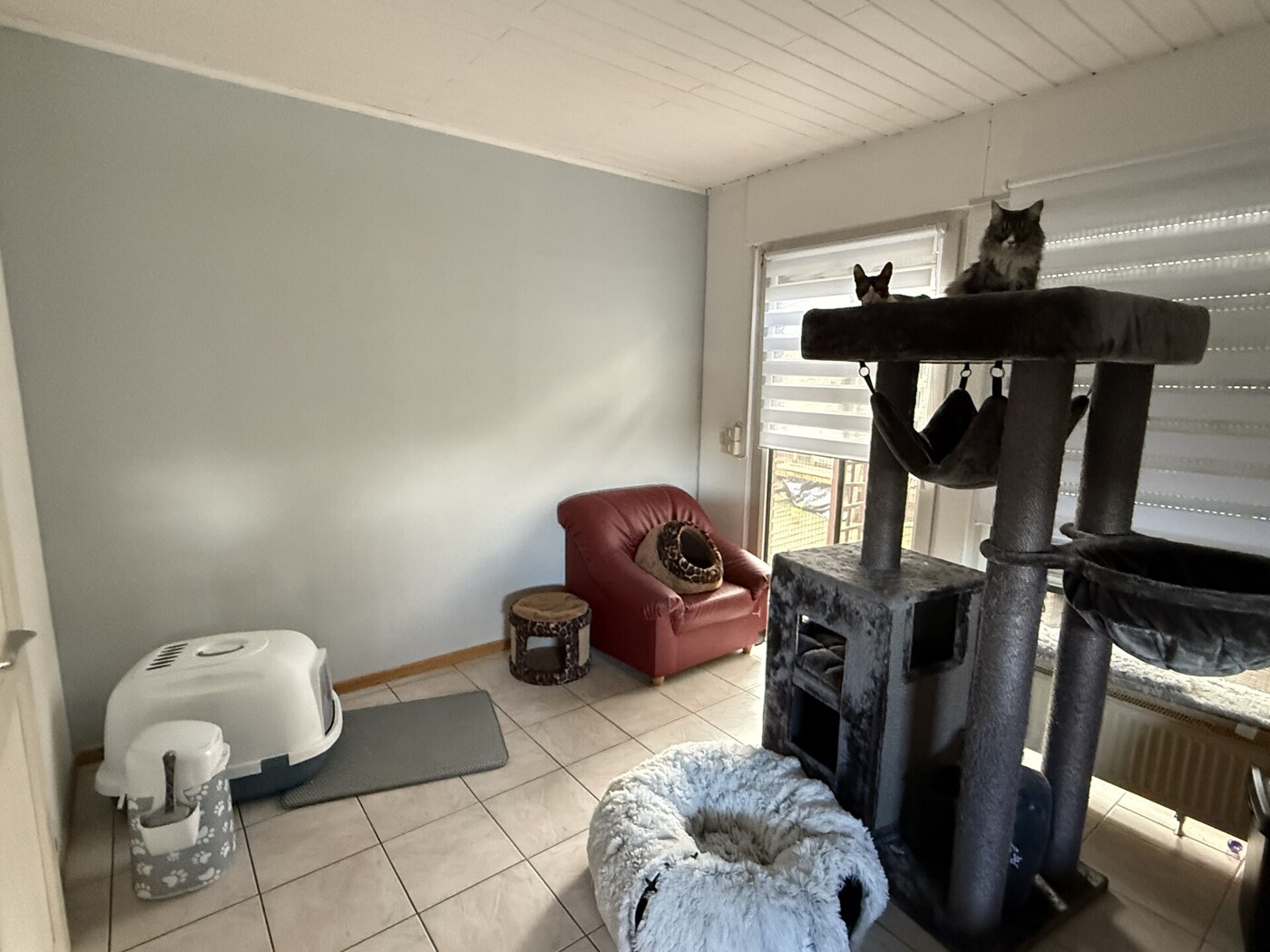 Esszimmer EG (2)