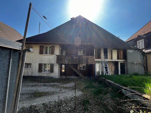 WhatsApp Image 2026-04-09 at 16.29.09 (2)