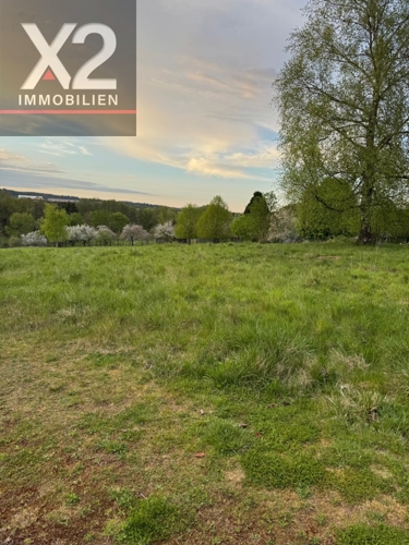 PHOTO-2025-04-26-22-21-18 (3)