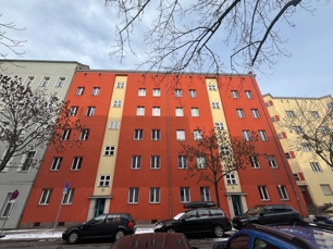 WhatsApp Image 2026-02-19 at 11.53.30 (2)