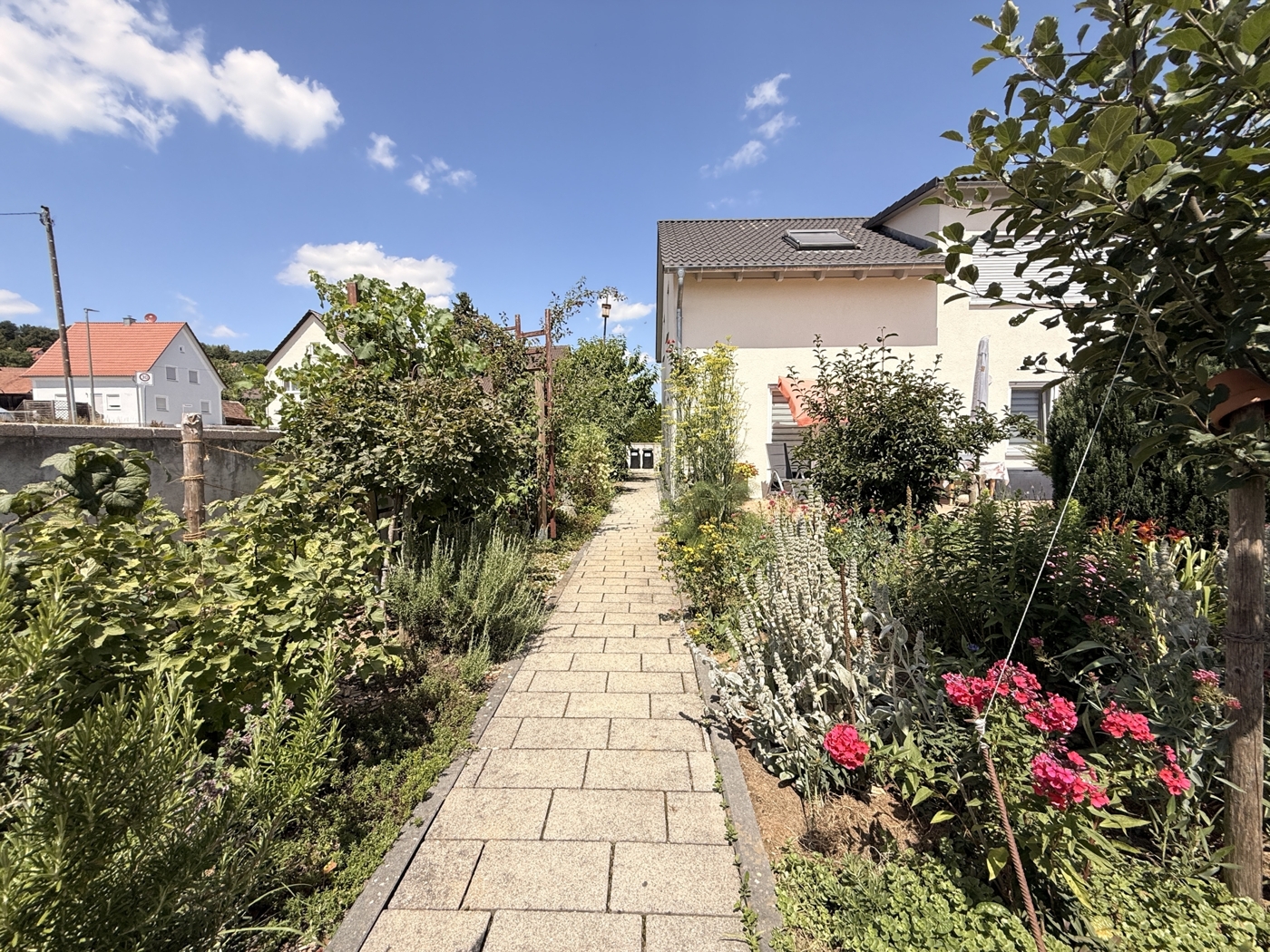 Garten (7)
