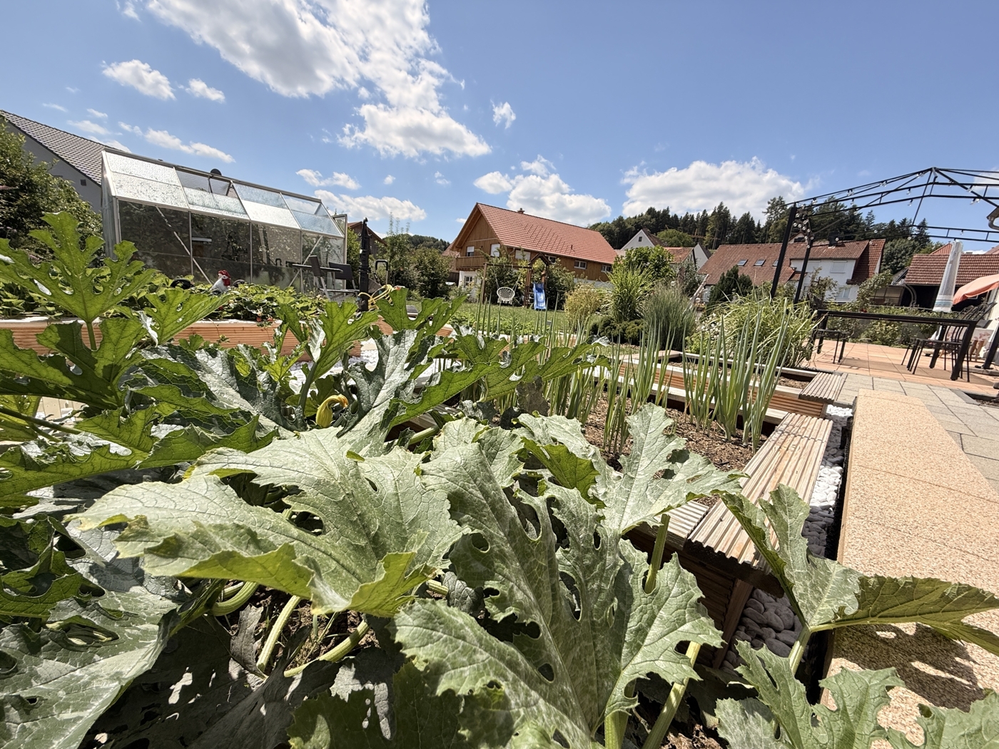 Garten (2)