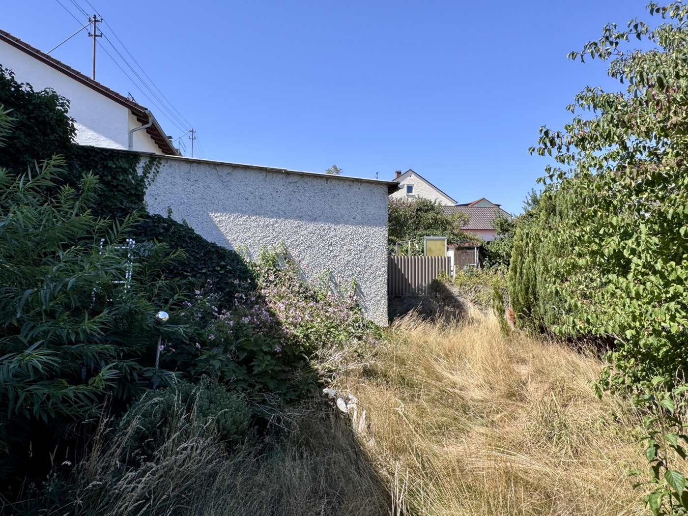 Garten 2