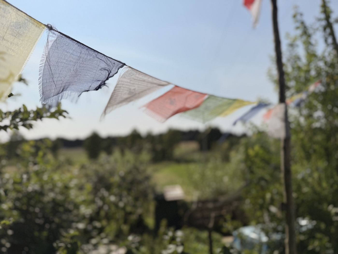 Garten (2)