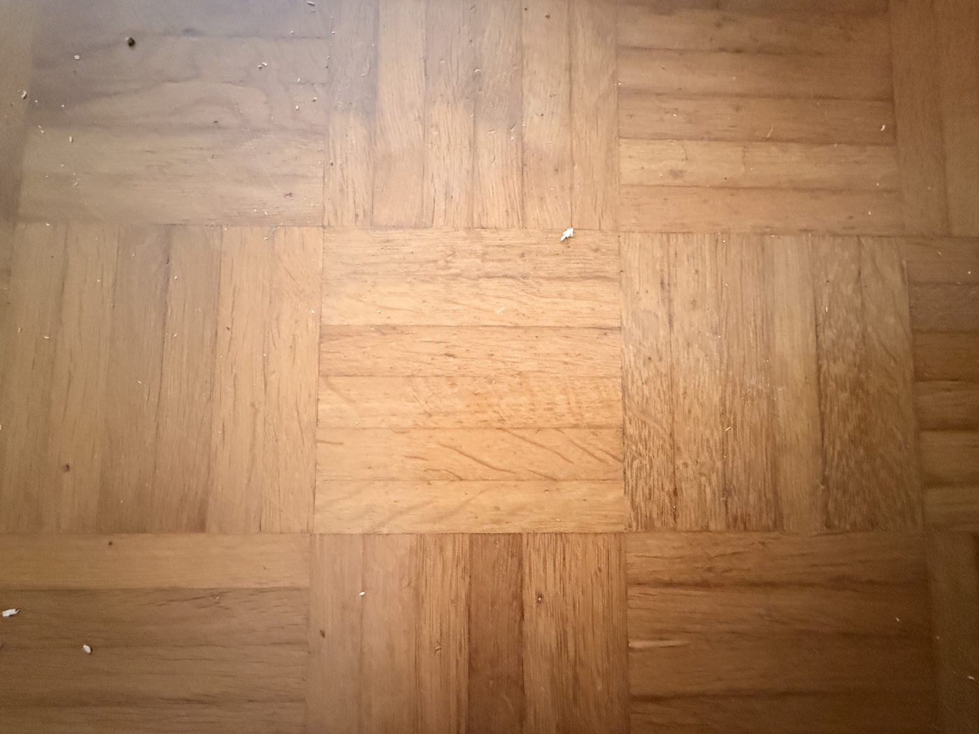 Wohnzimmer Parkett EG