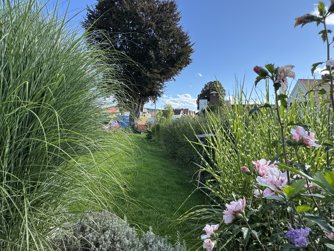 Gartenblick