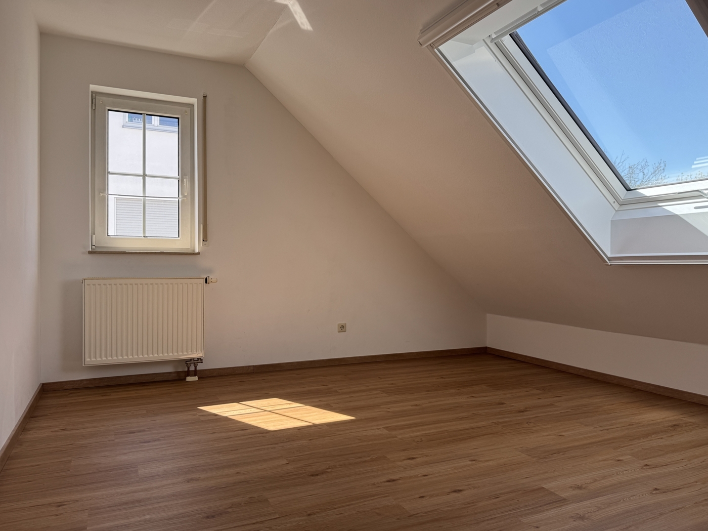 Zimmer DG 2