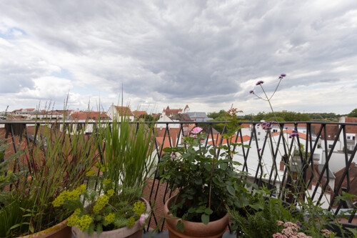 Ausblick