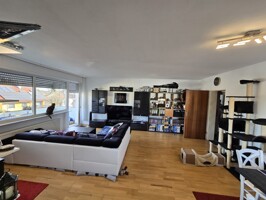 Wohnzimmer (3)