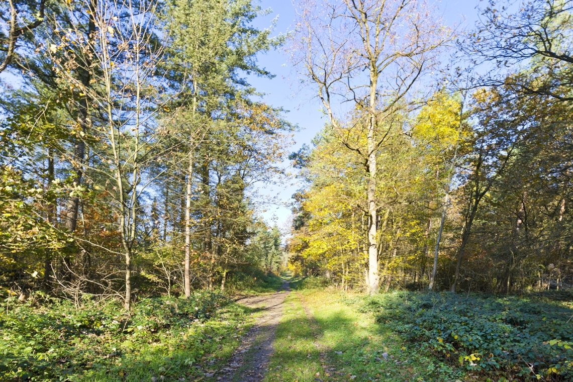 Umgebung