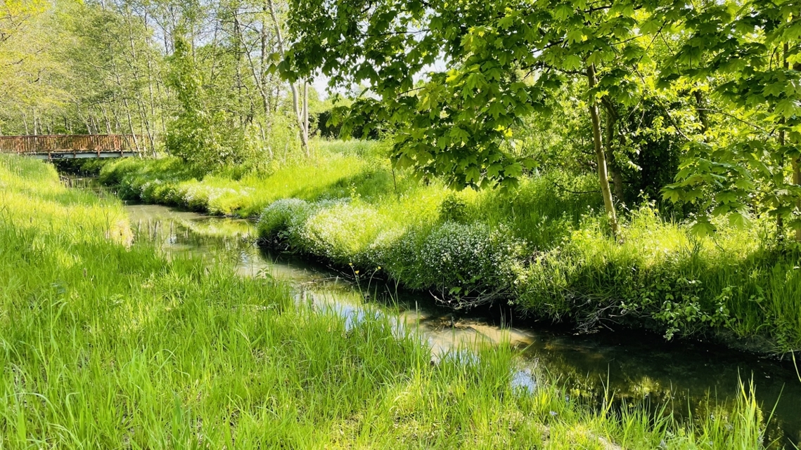 Umgebung
