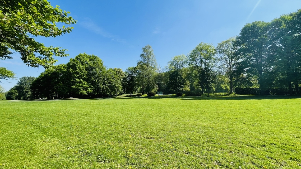 Park