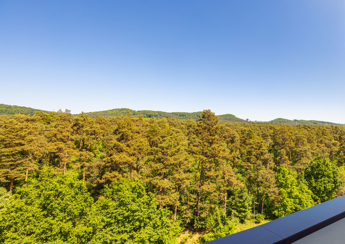 Ausblick vom Laubengang