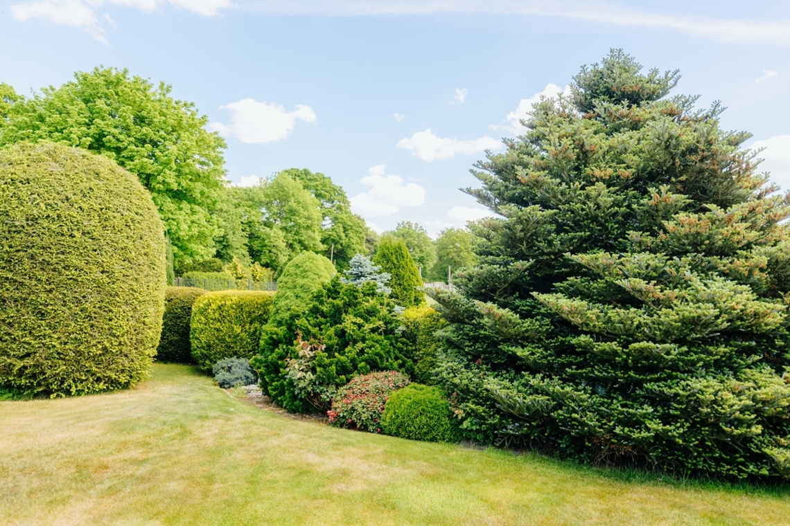 Garten