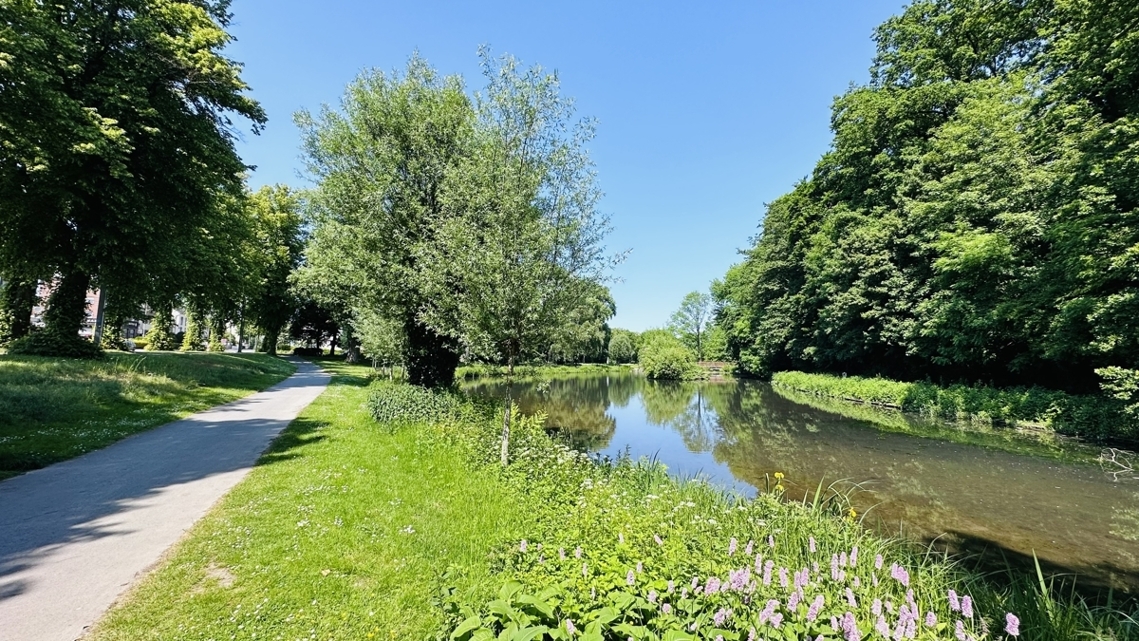 Meierteich