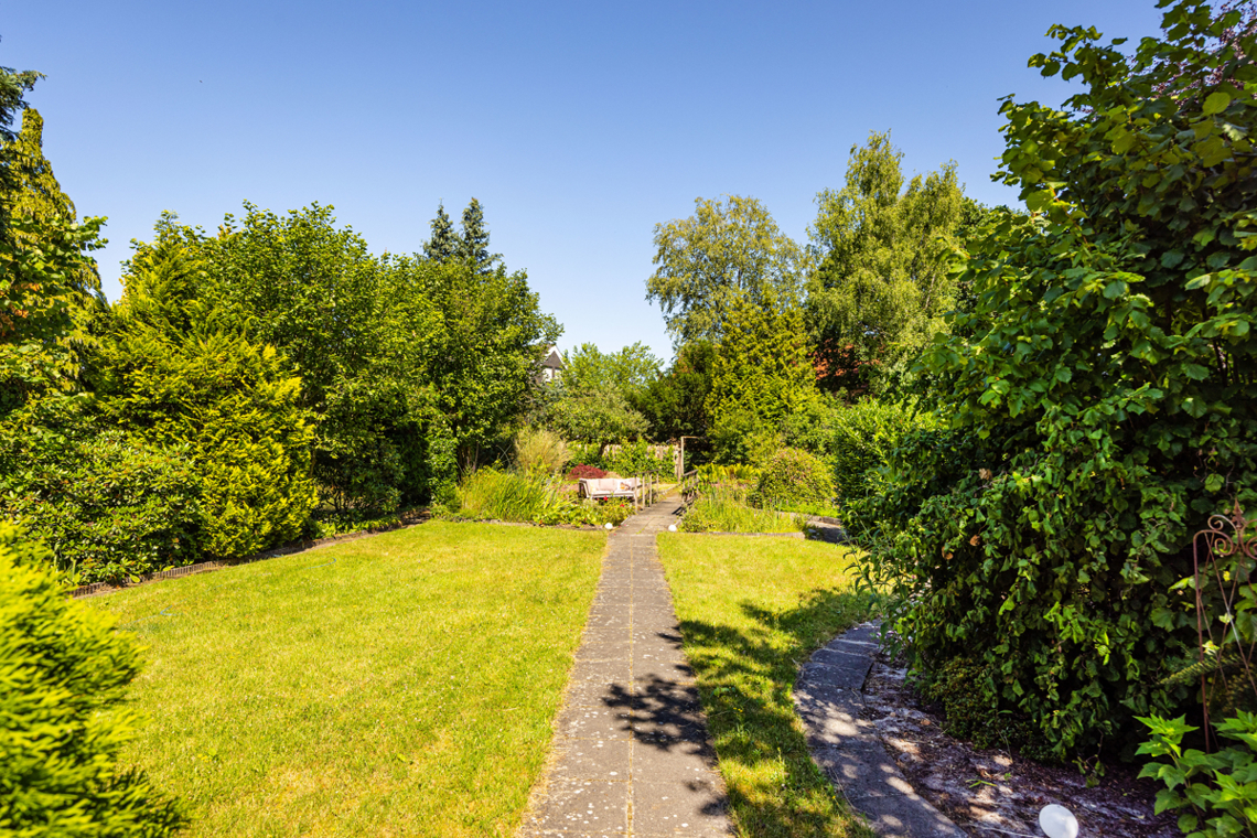 Blick in den Garten
