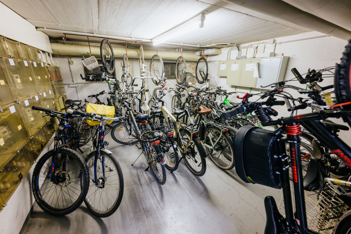 Fahrradkeller