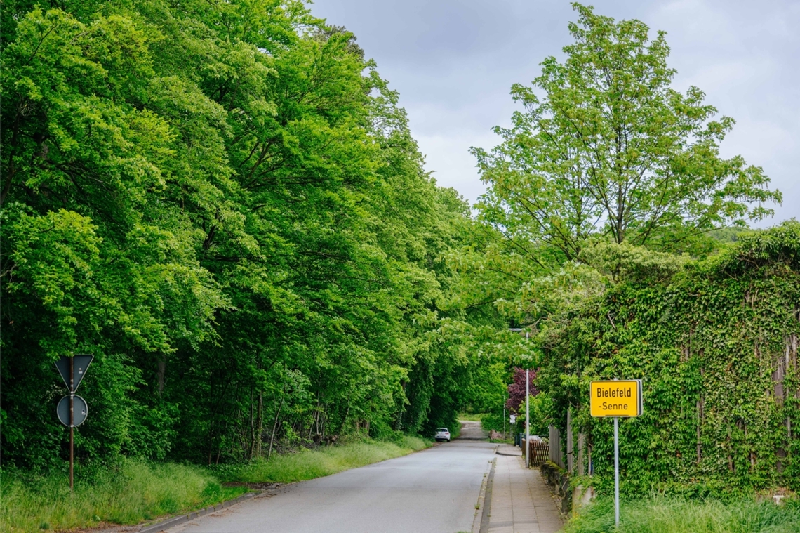 Umgebung