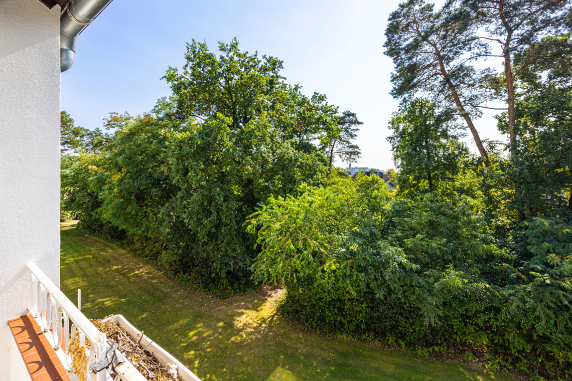 Ausblick