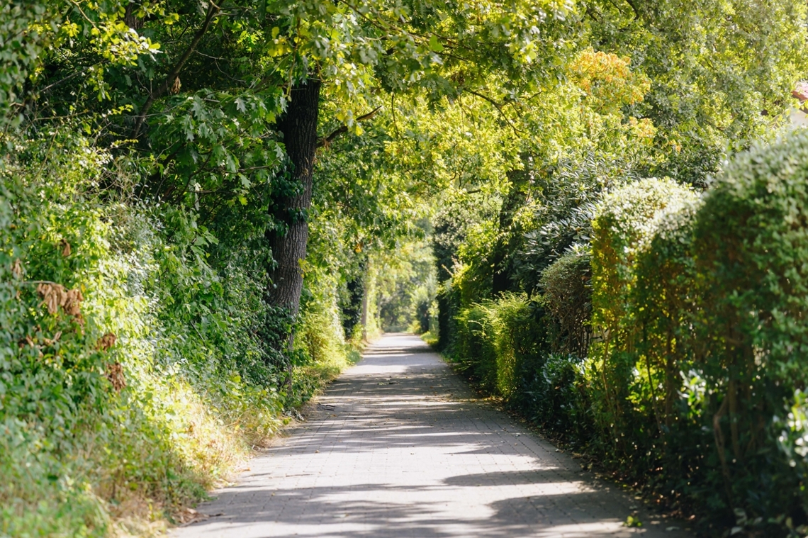 Grünes Umfeld mit Spazierwegen