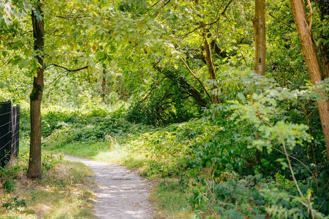 Grünes Umfeld mit Spazierwegen