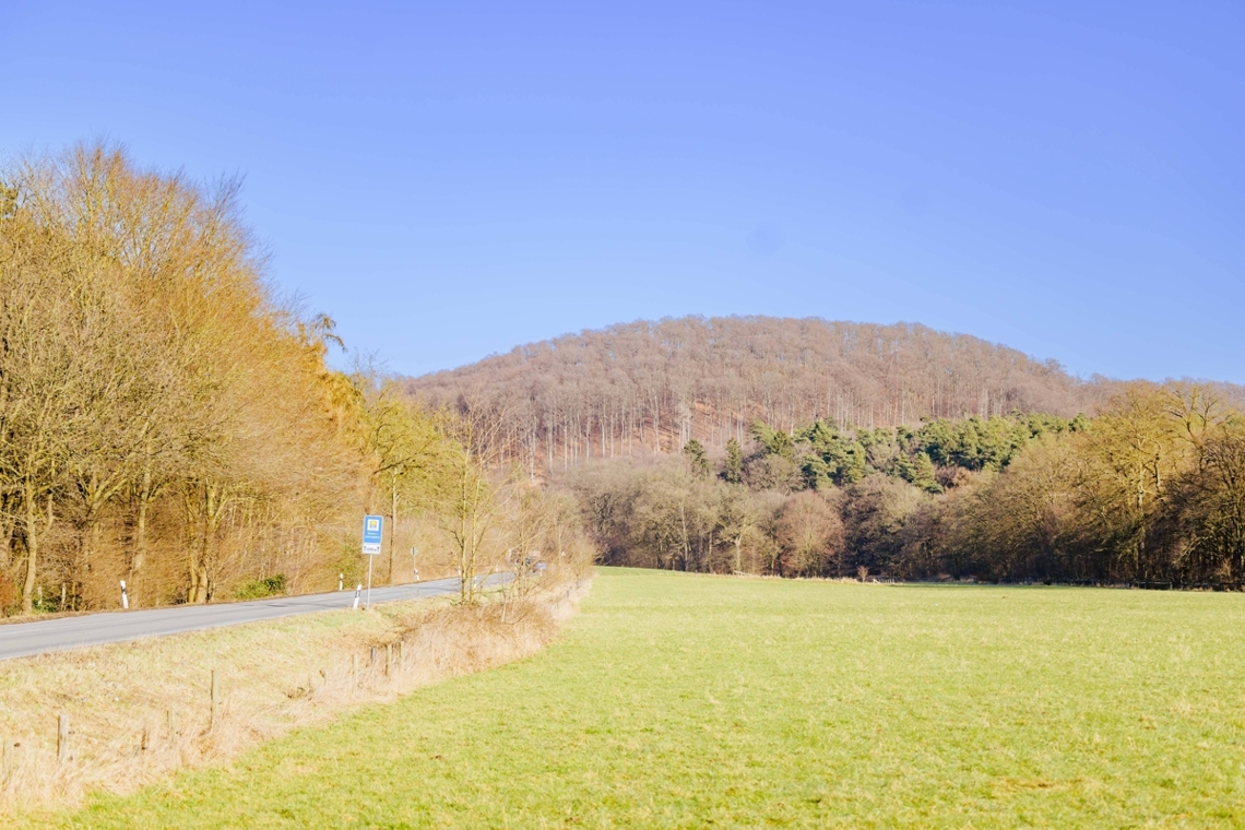 Blick auf den Teutoburger Wald