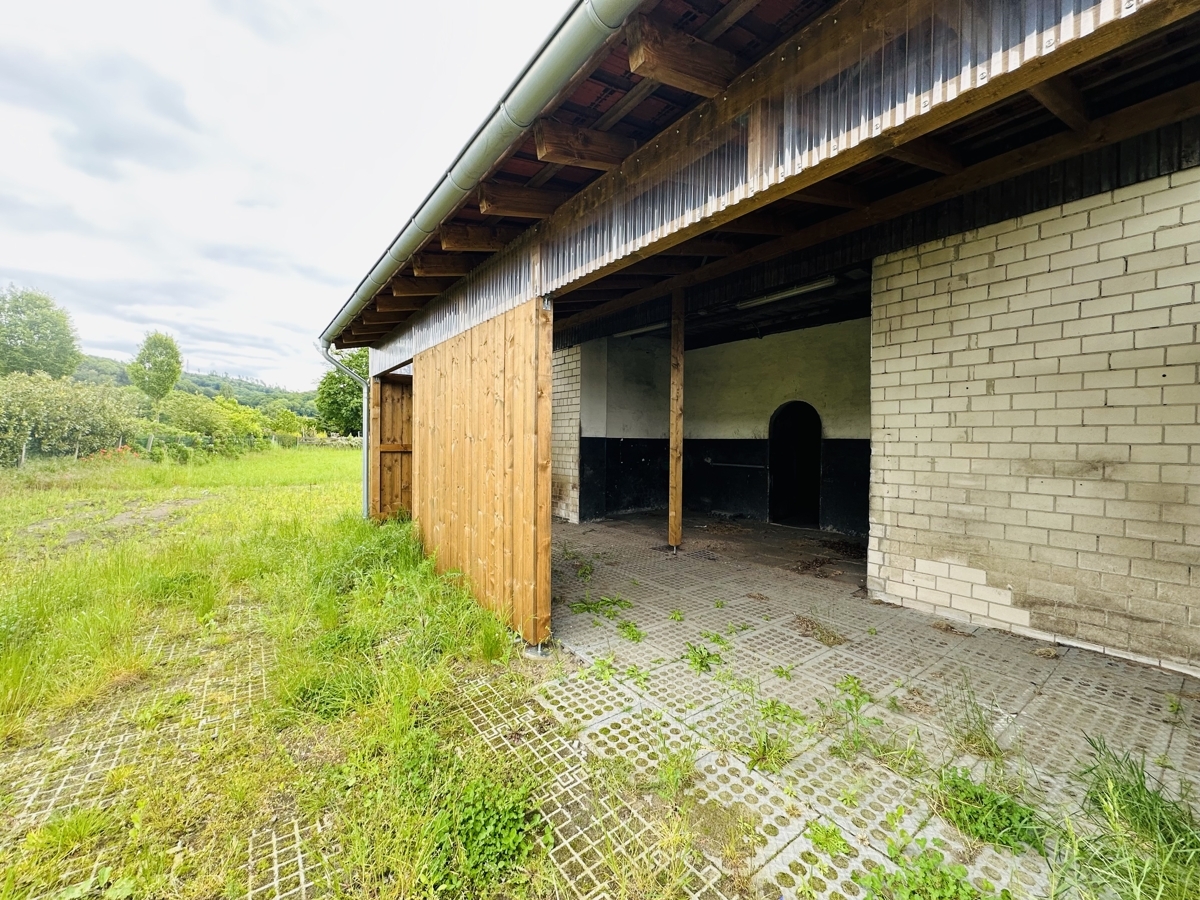Einmalige Gelegenheit! 3-Zi.-Mietwohnung mit Pferdestall - Photo 4