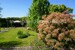Der traumhafte Garten