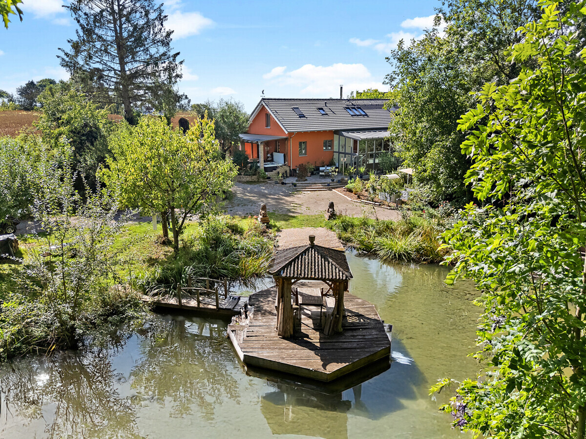 Weiher mit Insel