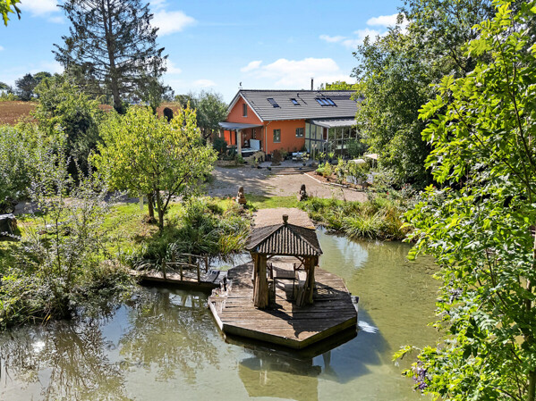 Weiher mit Insel
