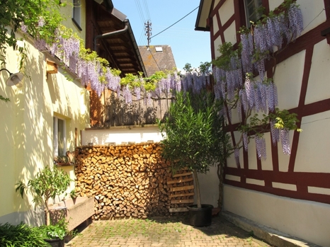 Gemütliches Ambiente