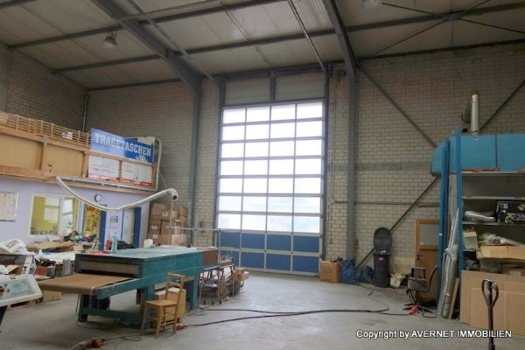 Grundriss Halle UG/Keller