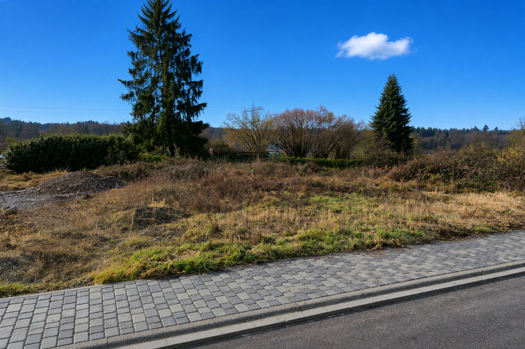 Bild1