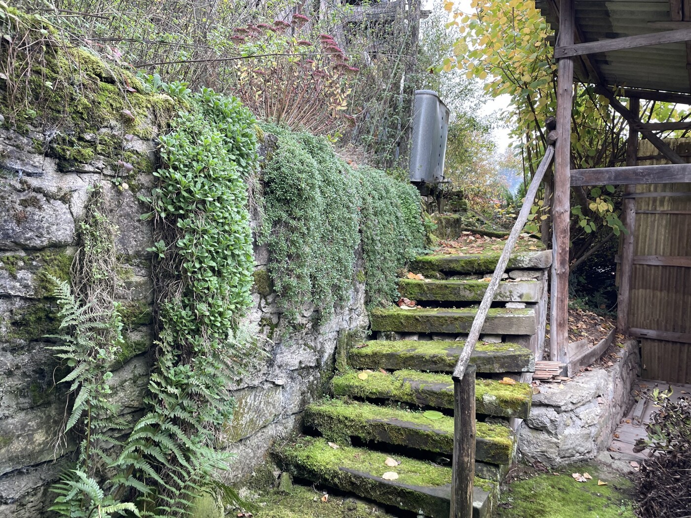 Treppe zur Obstwiese