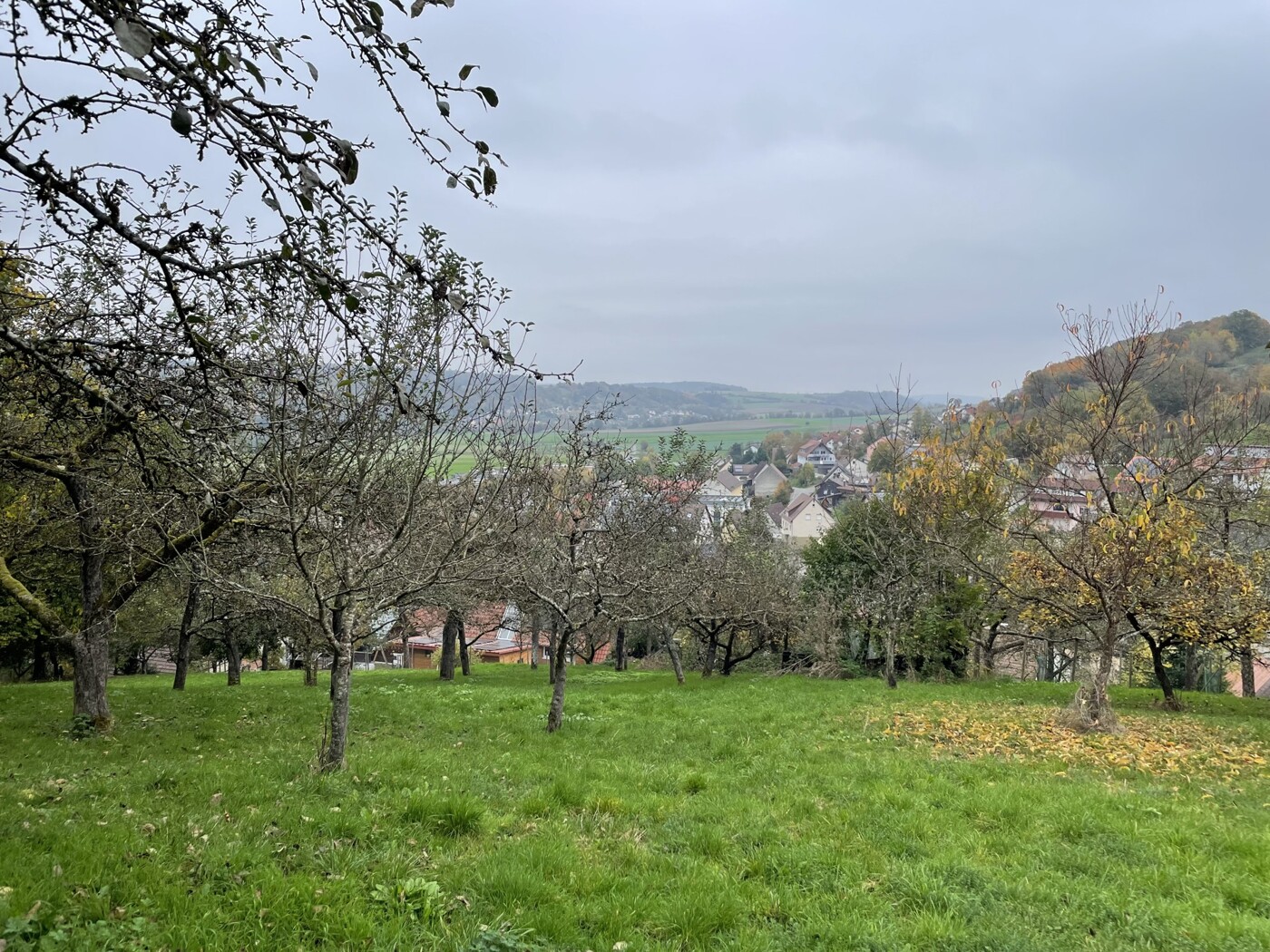 Blick vom Grundstück