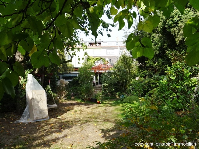 Main photo