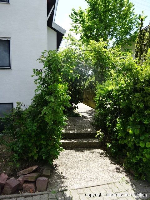 Main photo