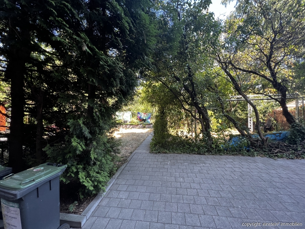 Main photo