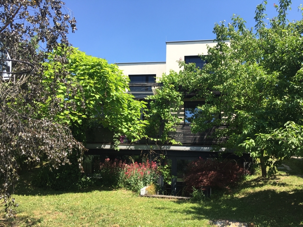 5 Zimmer zum / zur Miete in Wien, Döbling (Objektnummer 010966) VIC