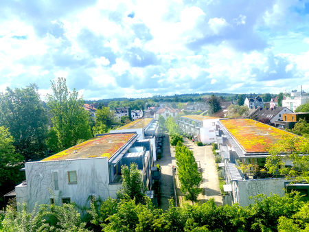 Ausblick Küche u. Wohnzi.