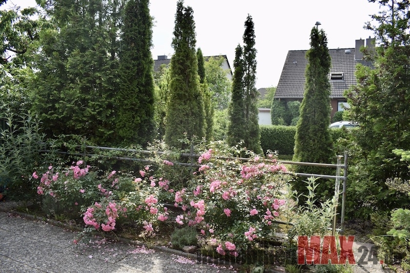 Estate Picture