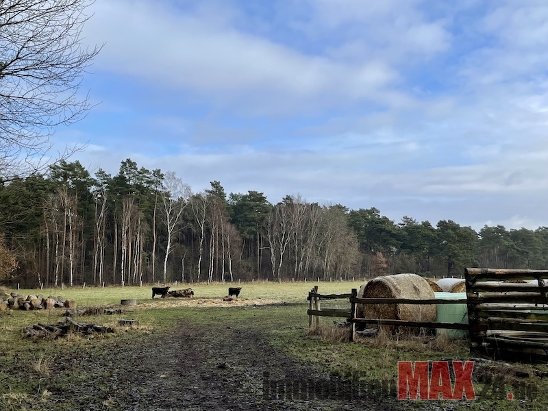 Estate Picture
