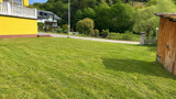 Wiese3