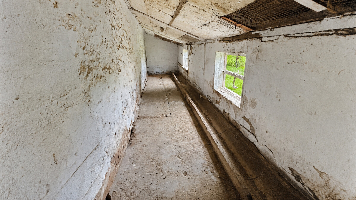 Hühnerstall