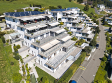 DJI_0174
