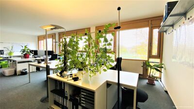 Helle Büroräume & repräsentatives Umfeld