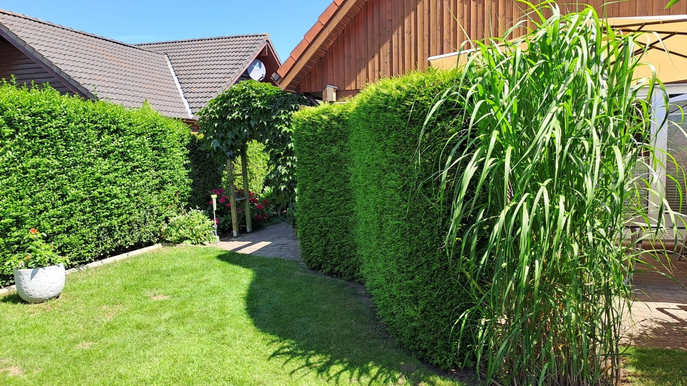 Grünfläche